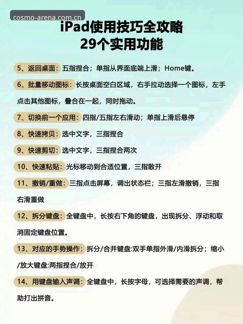 星空综合平台使用指南：从新手到高手的完整教程